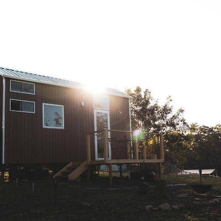 Villa Kookaburra Tiny House By Tiny Away Palmwoods Esterno foto