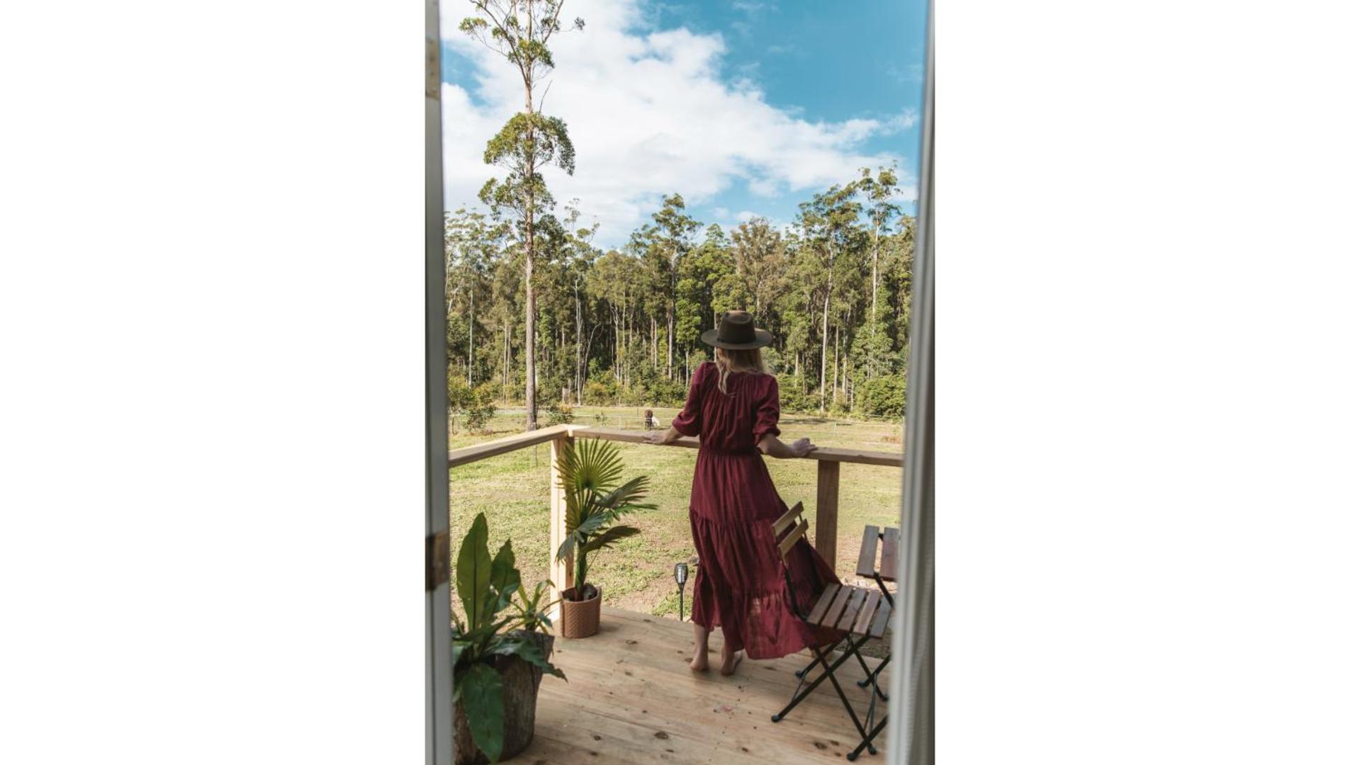 Villa Kookaburra Tiny House By Tiny Away Palmwoods Esterno foto